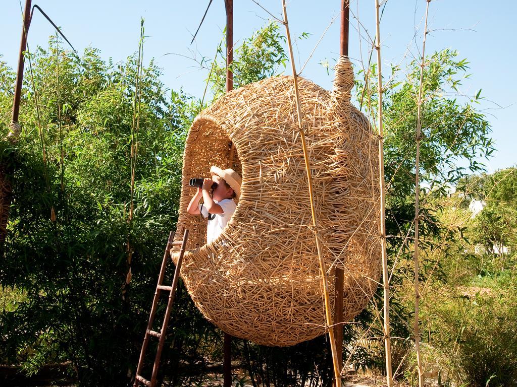 Babylonstoren Simondium Экстерьер фото